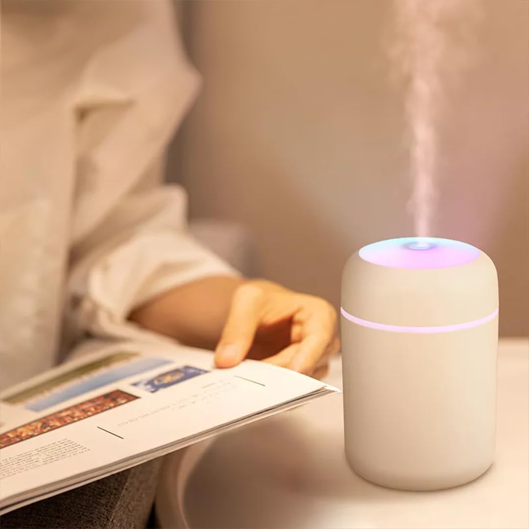 H2O Cool Mist Humidifier
