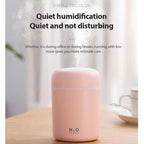 H2O Cool Mist Humidifier