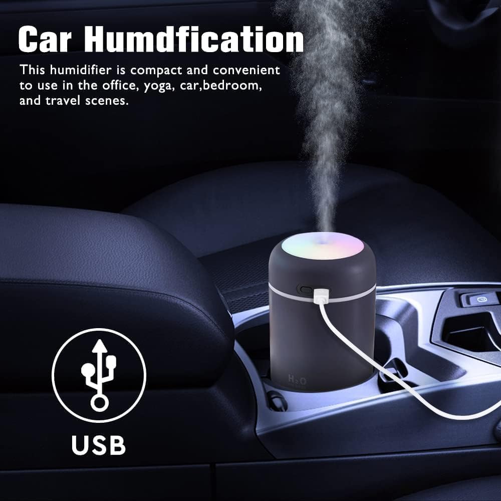 H2O Cool Mist Humidifier