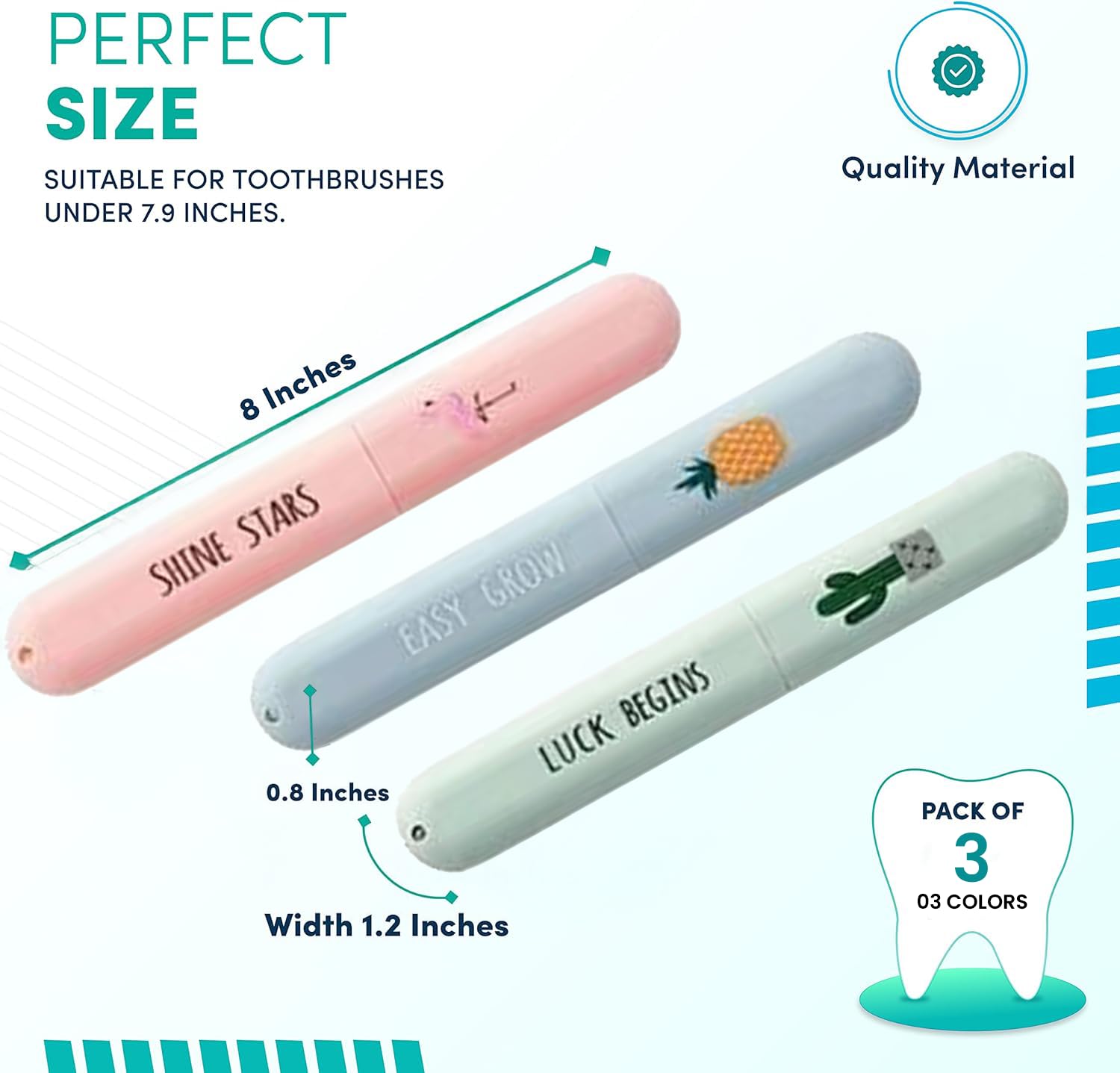 Set of 3 Printed Travel Toothbrush Case (Imported)