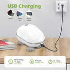 Scalp & Head Massager